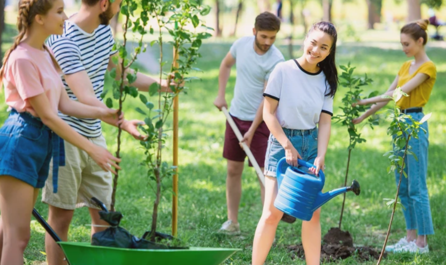 4715 image for slide