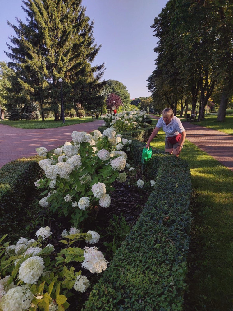 7219 image for slide